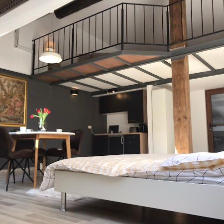 טימישוארה Savoya Nr2 Loft Studio Old City Center Self Check-In Workspace מראה חיצוני תמונה
