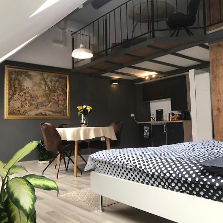 טימישוארה Savoya Nr2 Loft Studio Old City Center Self Check-In Workspace מראה חיצוני תמונה