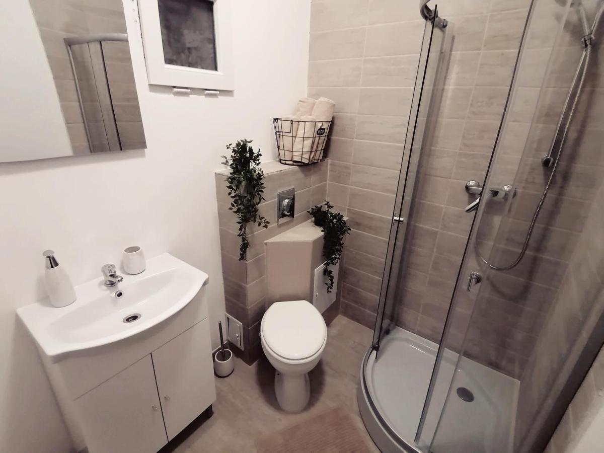 טימישוארה Savoya Nr2 Loft Studio Old City Center Self Check-In Workspace מראה חיצוני תמונה