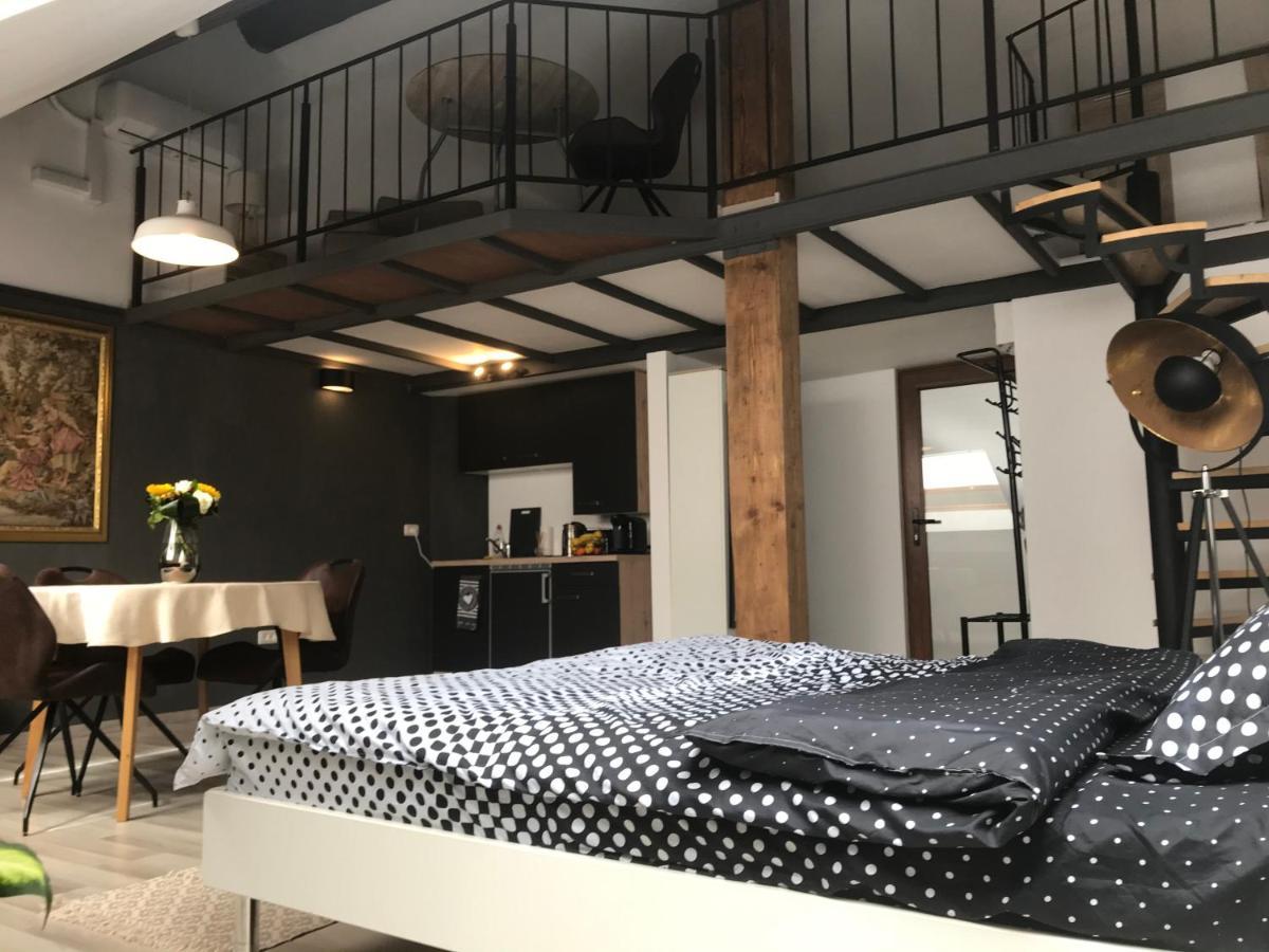 טימישוארה Savoya Nr2 Loft Studio Old City Center Self Check-In Workspace מראה חיצוני תמונה