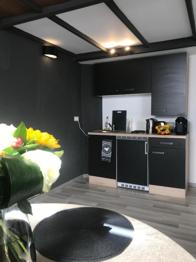 טימישוארה Savoya Nr2 Loft Studio Old City Center Self Check-In Workspace מראה חיצוני תמונה