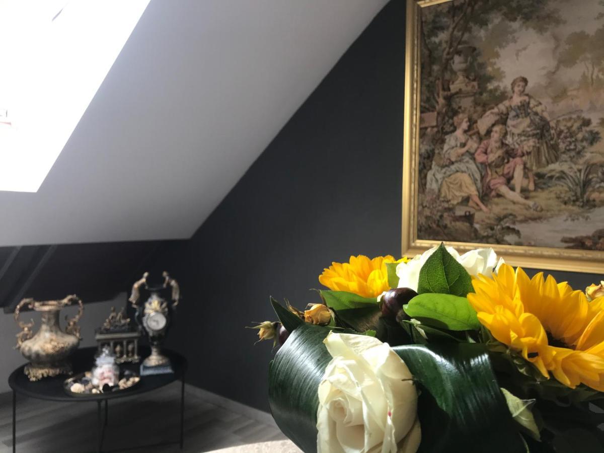 טימישוארה Savoya Nr2 Loft Studio Old City Center Self Check-In Workspace מראה חיצוני תמונה