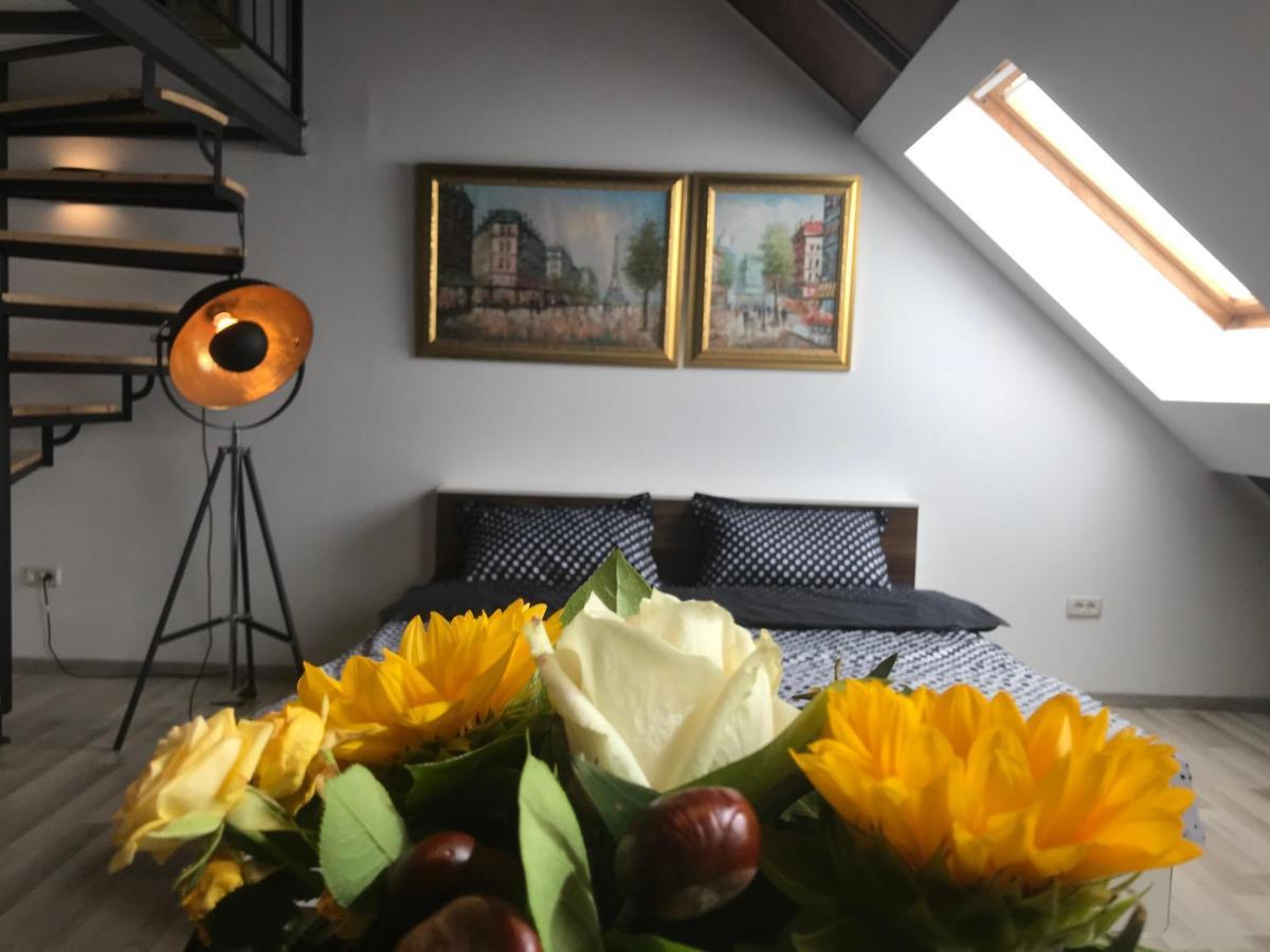 טימישוארה Savoya Nr2 Loft Studio Old City Center Self Check-In Workspace מראה חיצוני תמונה