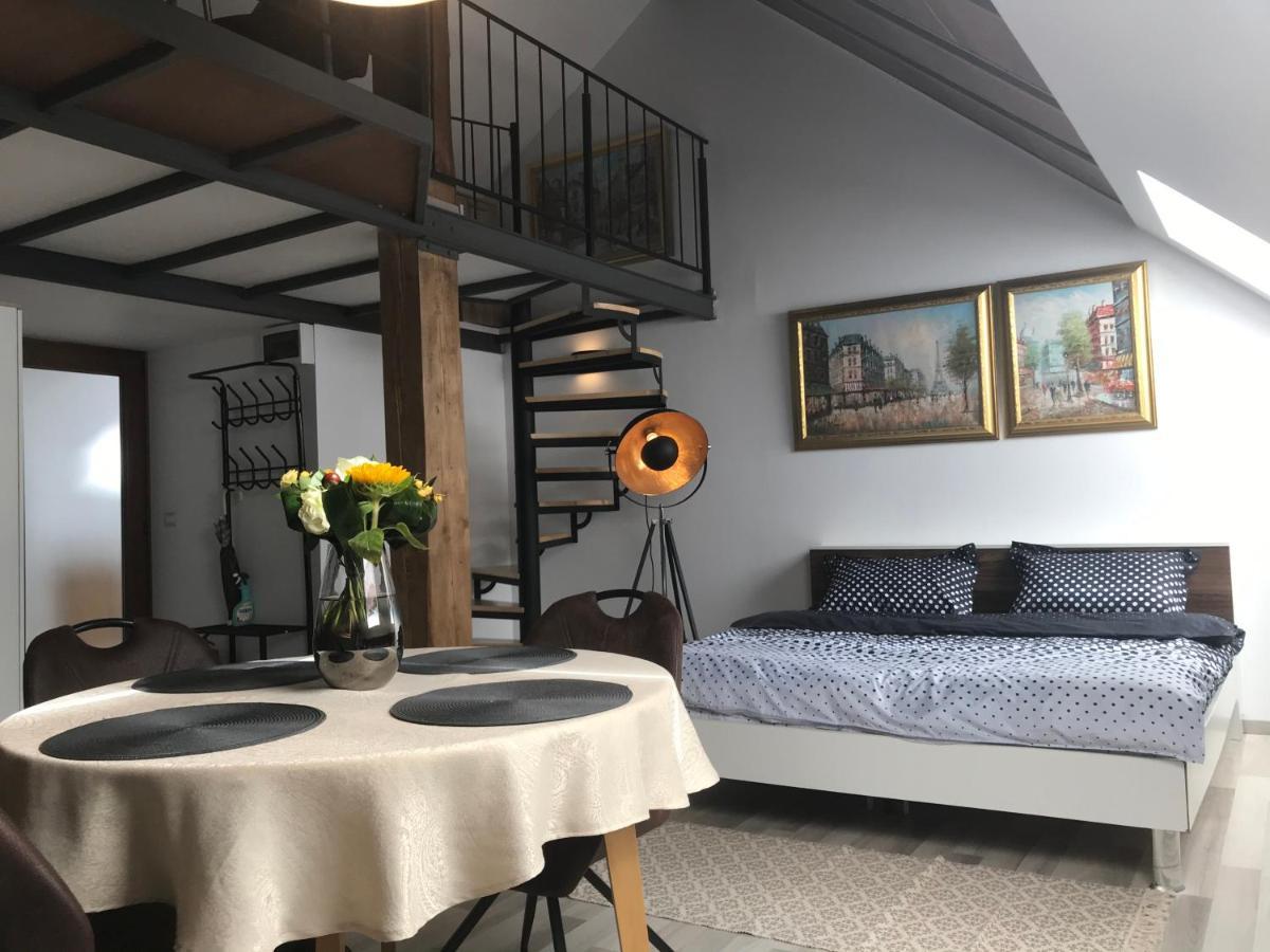 טימישוארה Savoya Nr2 Loft Studio Old City Center Self Check-In Workspace מראה חיצוני תמונה